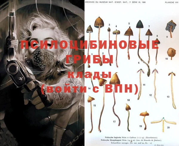 гашиш Абаза