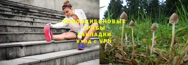 трава Абинск