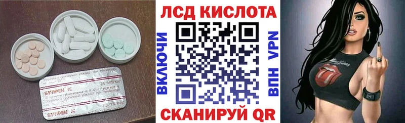 дарк нет какой сайт Новокубанск LSD-25 экстази кислота