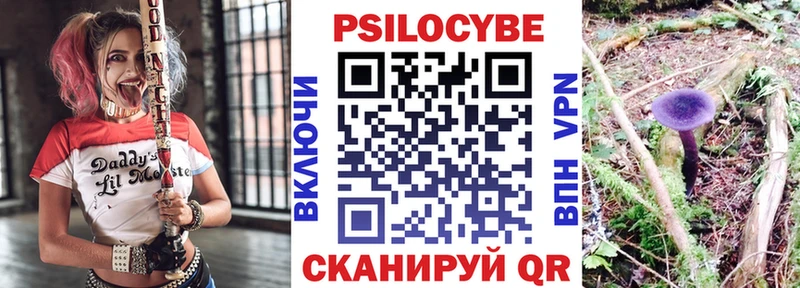 Галлюциногенные грибы Magic Shrooms Новокубанск